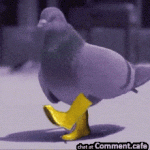 pigeoninyellowboots-pigeonboots.gif