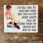 i-d-tell-you-to-kiss-my-arse-but-pin-up-girl-metal-travel-wall-sign-3304-p.png