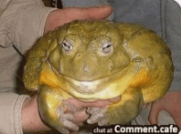 chunky-boi-frog.gif